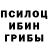 Галлюциногенные грибы GOLDEN TEACHER Well Down