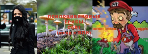 гидропоника Зерноград